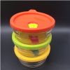 silicone lid glass lunch box